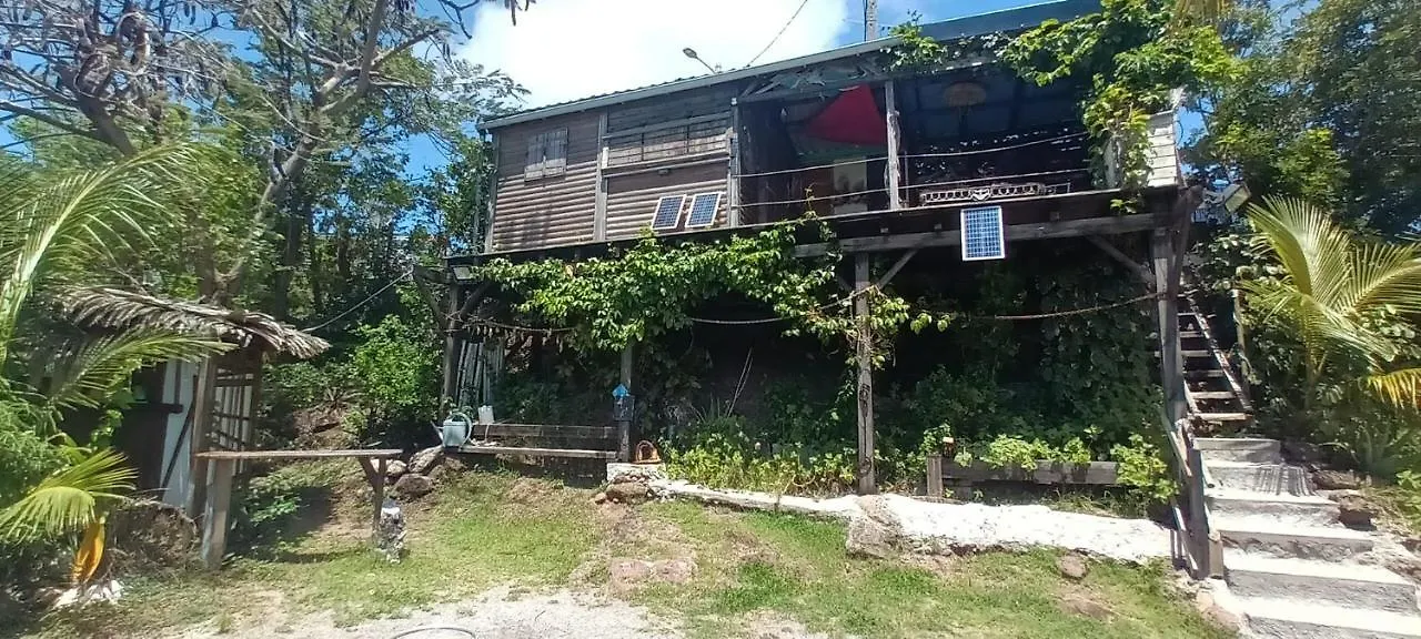 Tite Caz' Ecolo Gites Des Koalas Terre-de-Bas Holiday home